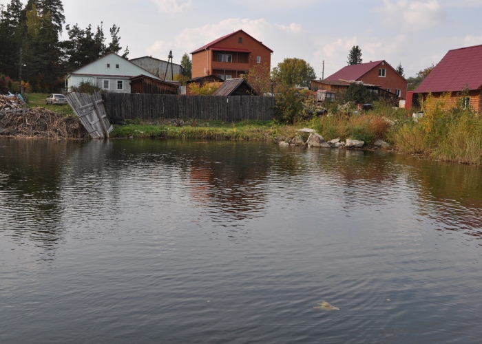 Расчистка пруда